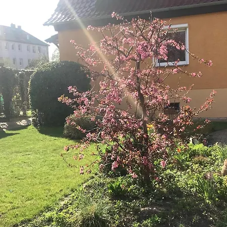 Tschitschmann