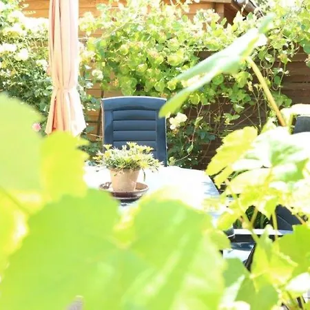 Tschitschmann Διαμέρισμα *