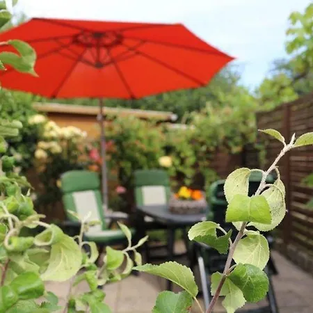 Tschitschmann Διαμέρισμα