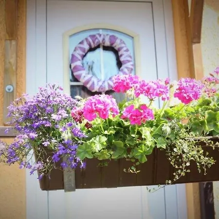 Tschitschmann Διαμέρισμα Νάουμπουργκ