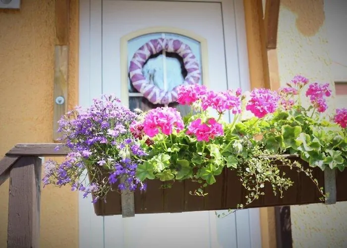 Tschitschmann Appartement Naumburg (Saale)